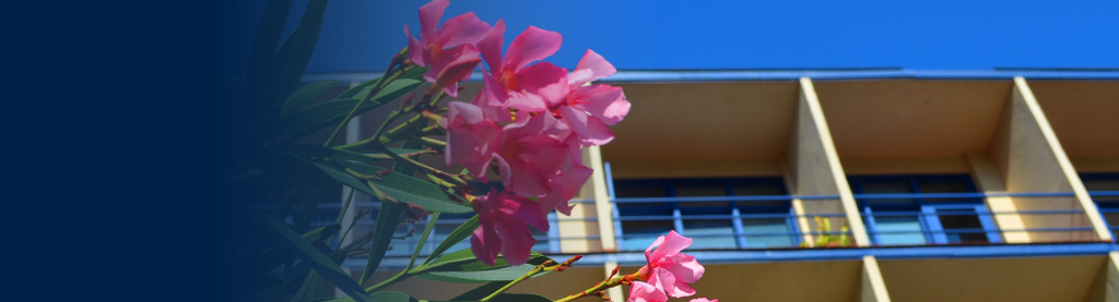ee novo banner manacax