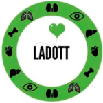 Ladott