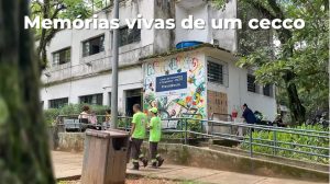 memorias vidas de um cecco peq